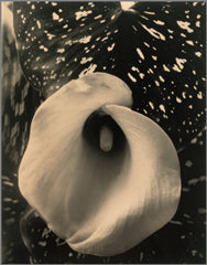 Steichen: Eduard et Voulangis (LIMITED EDITION OF 250)